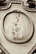 Wall_Art_Alphabet_Photography_Art_ 1686